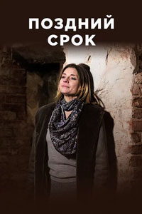 Поздний срок. Сериал (2020)